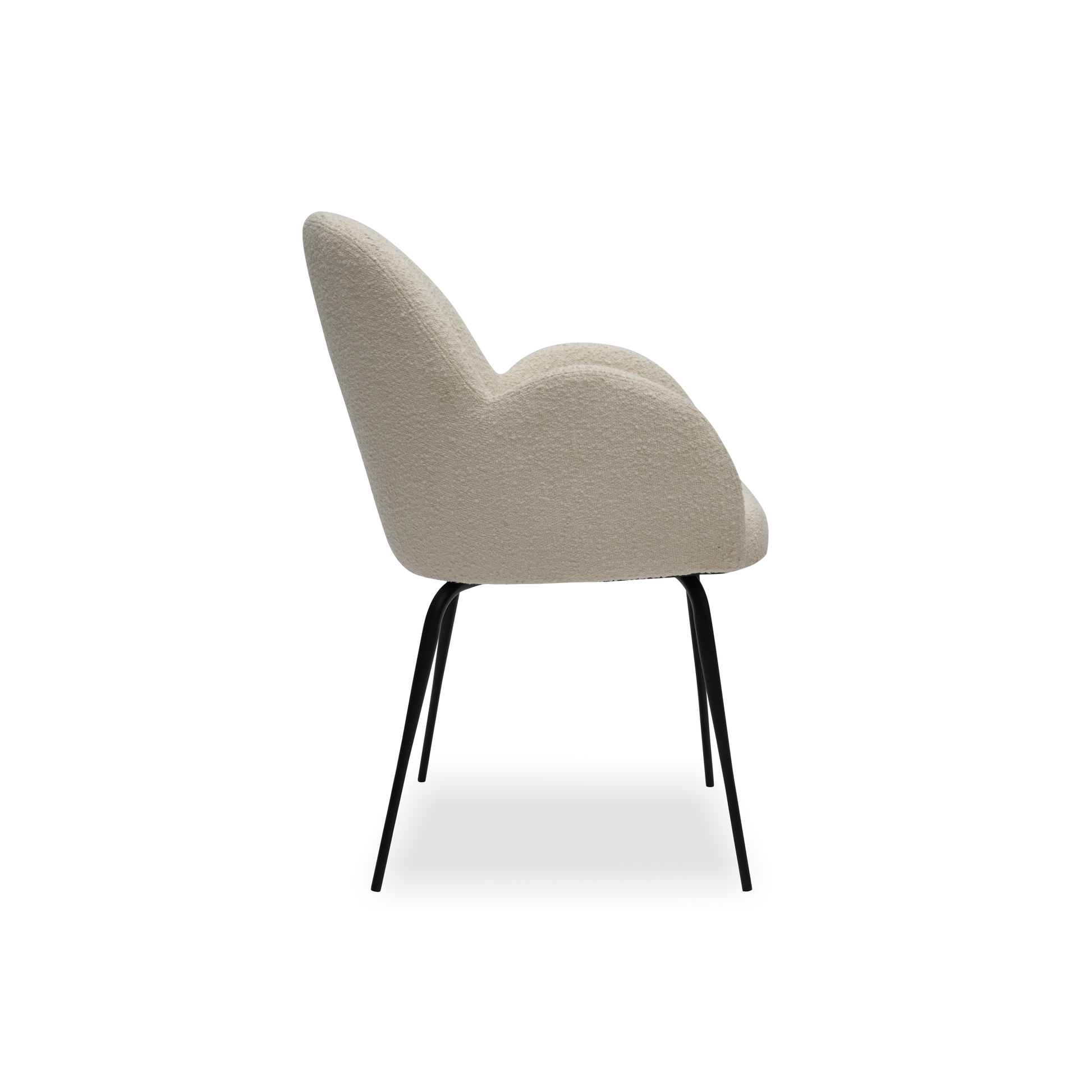 MS Matte Black_Ovis Ivory