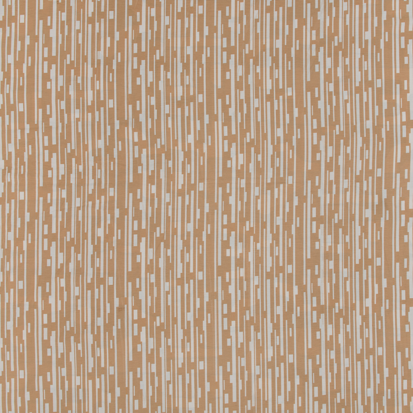 Congo Dijon