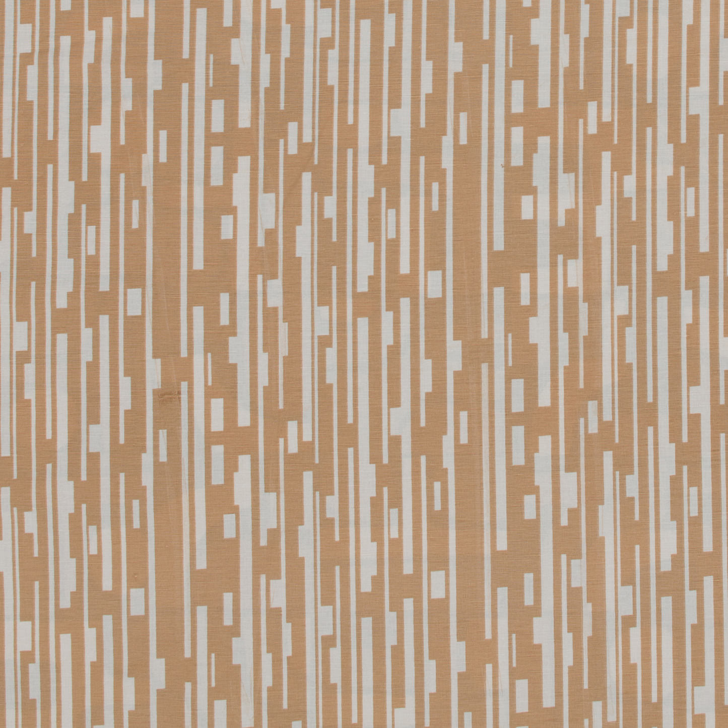 Congo Dijon