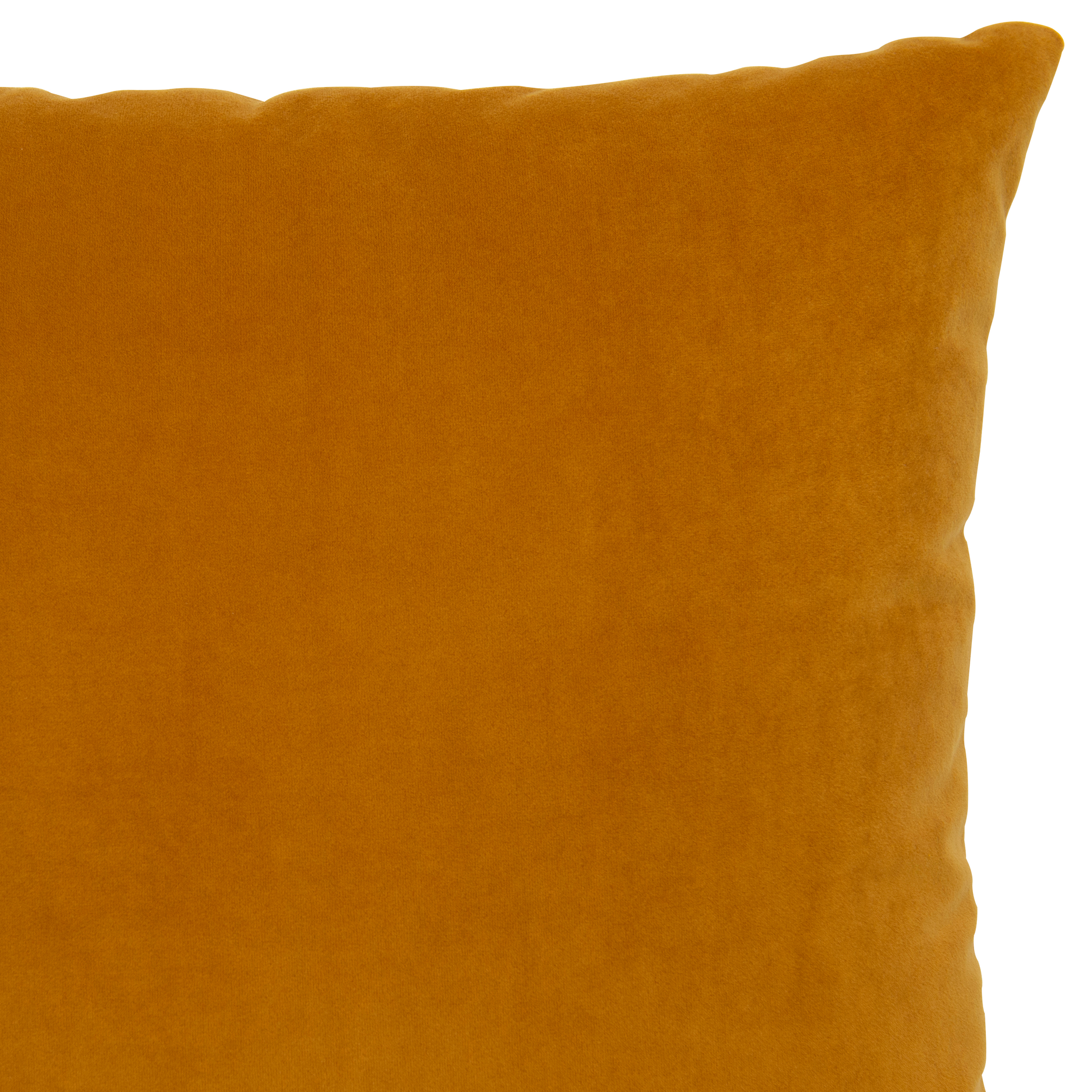 Plush Turmeric
