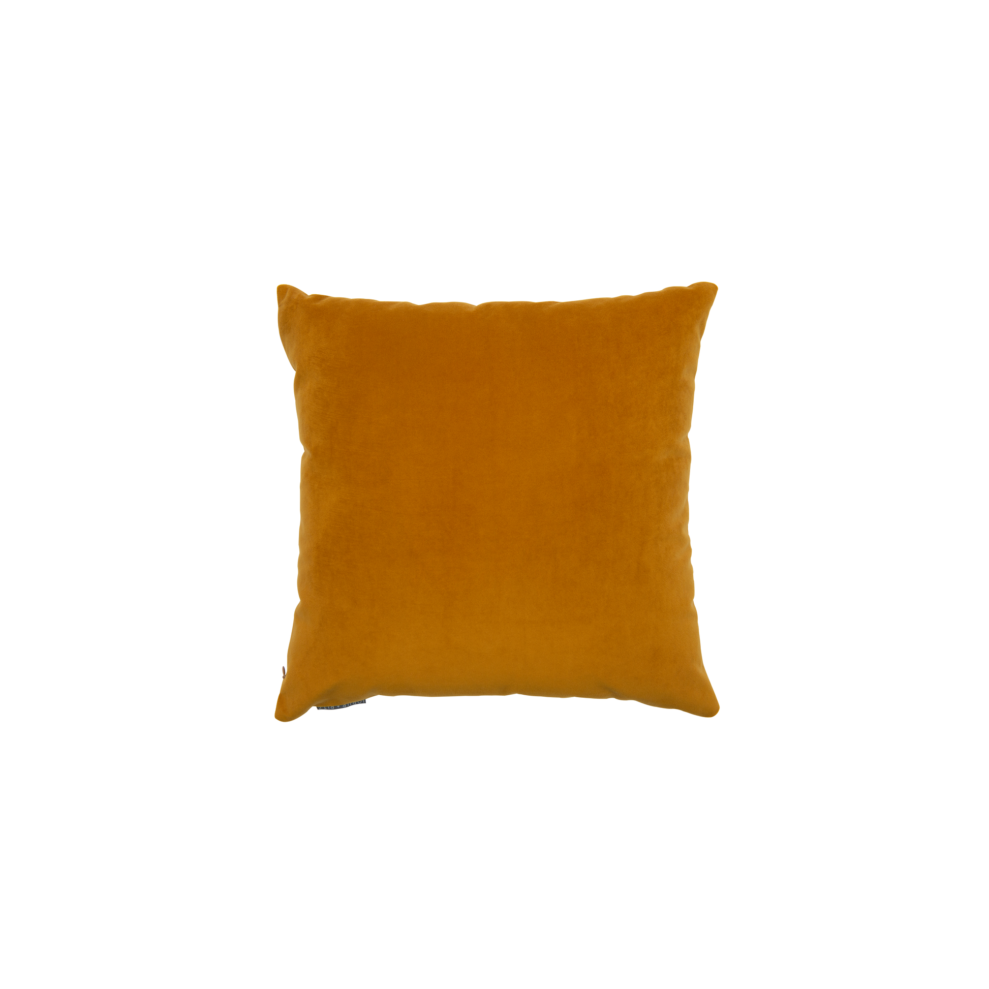 Plush Turmeric