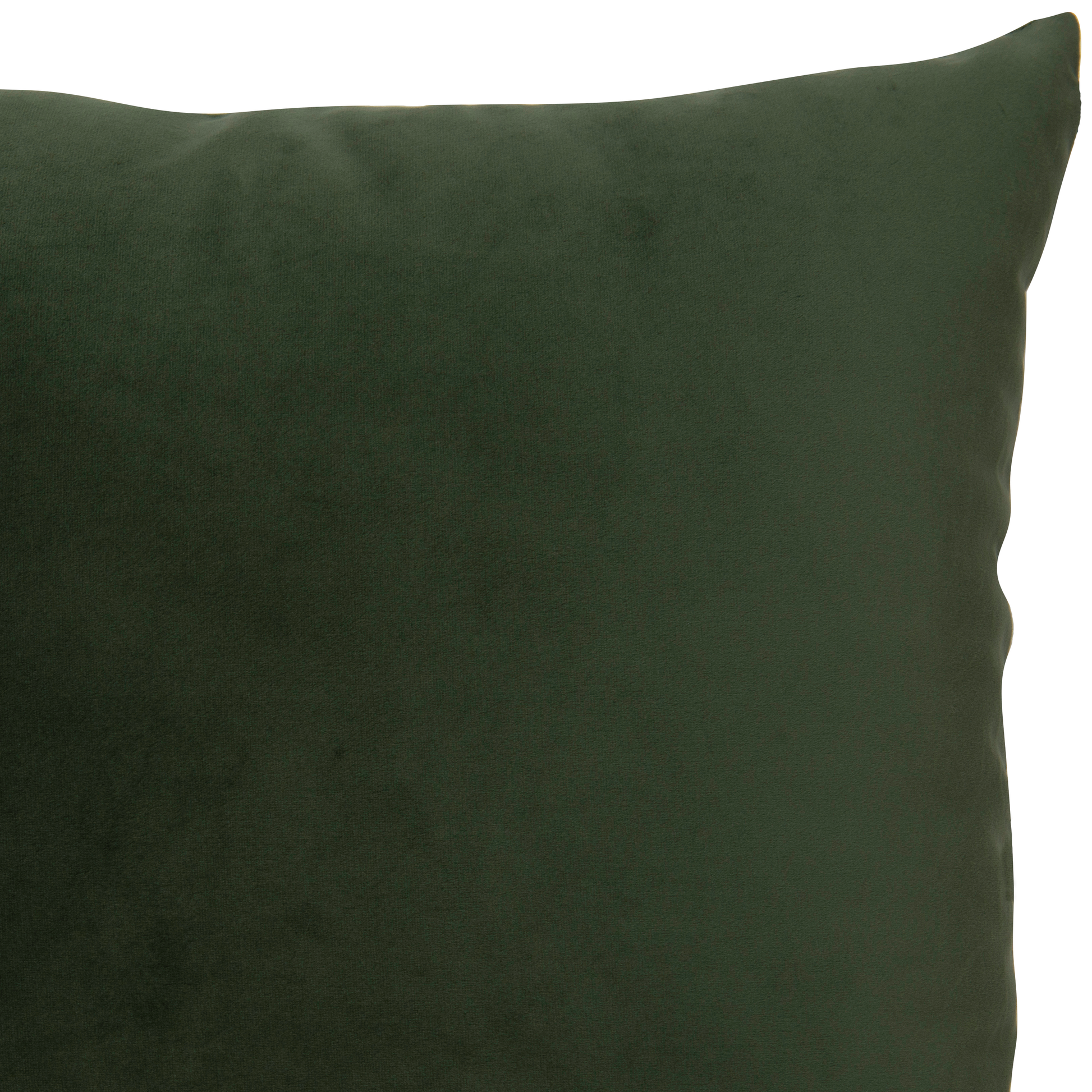 Velvet Olive