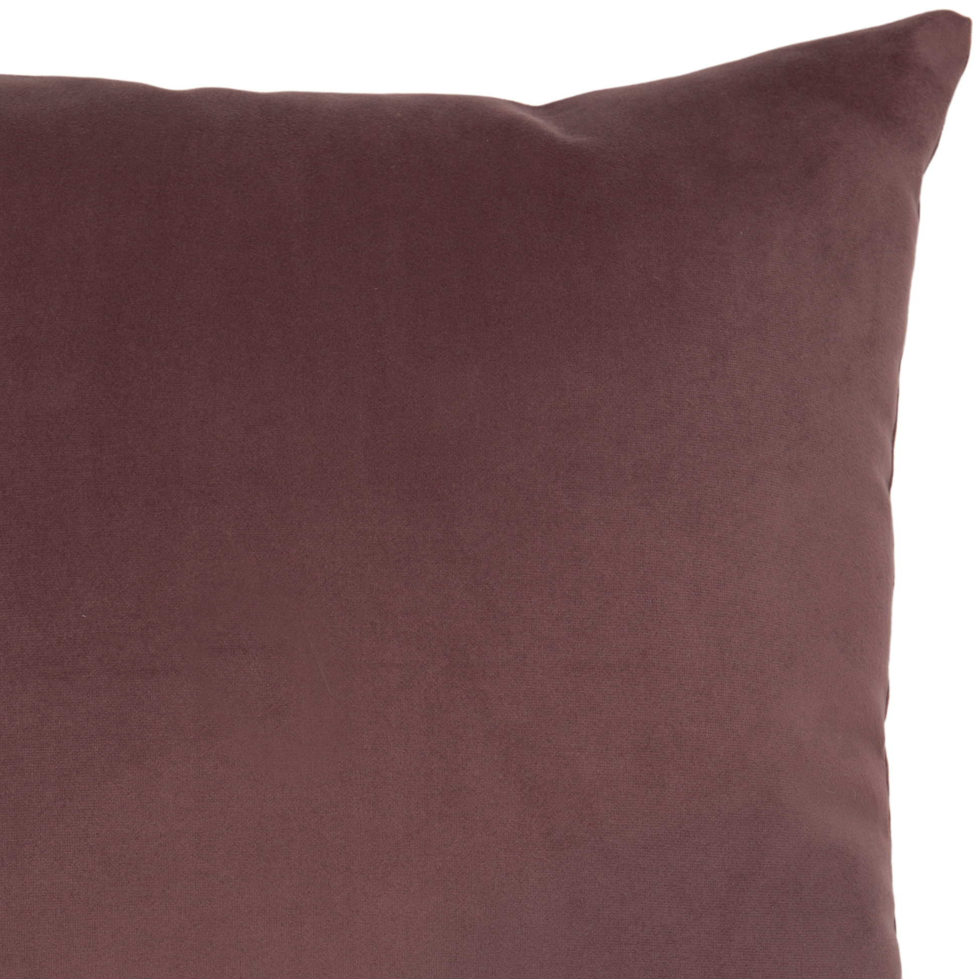 Velvet Plum