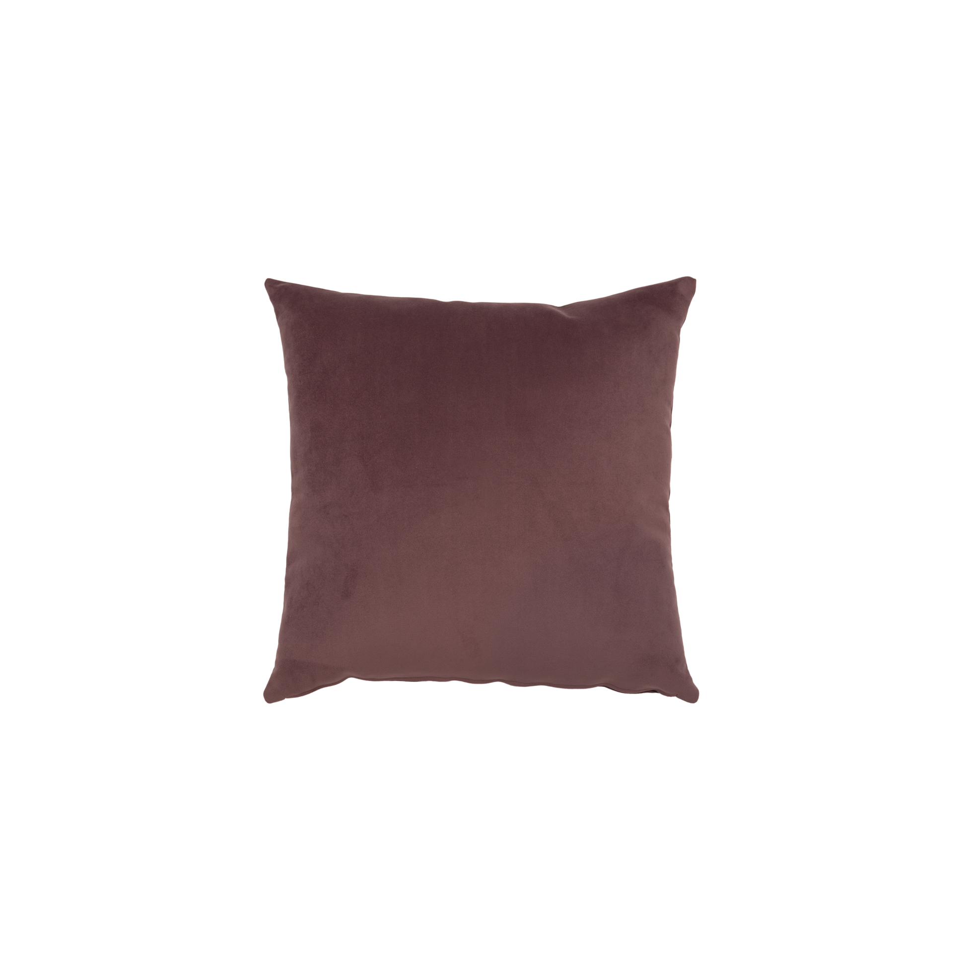 Velvet Plum