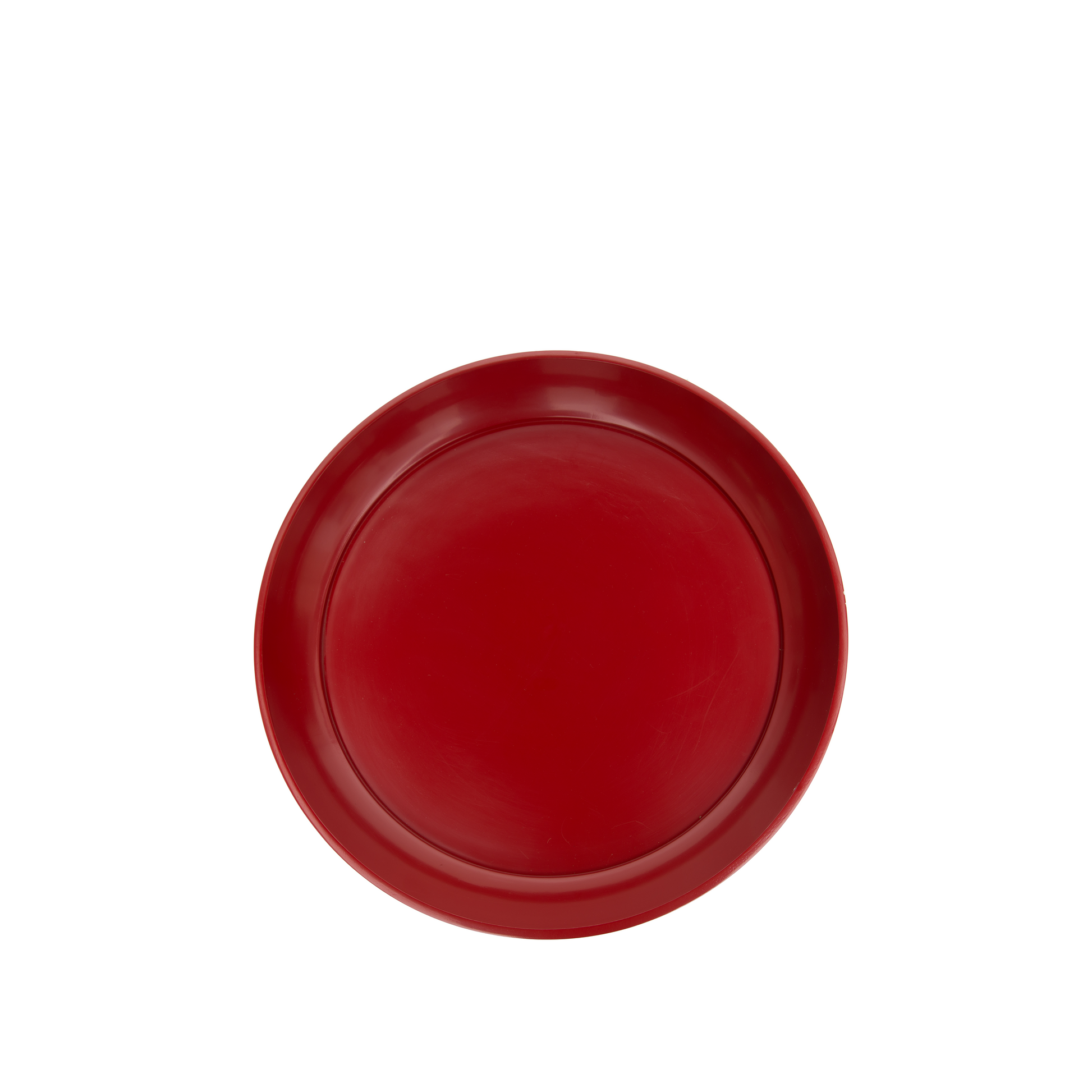 Red Chestnut