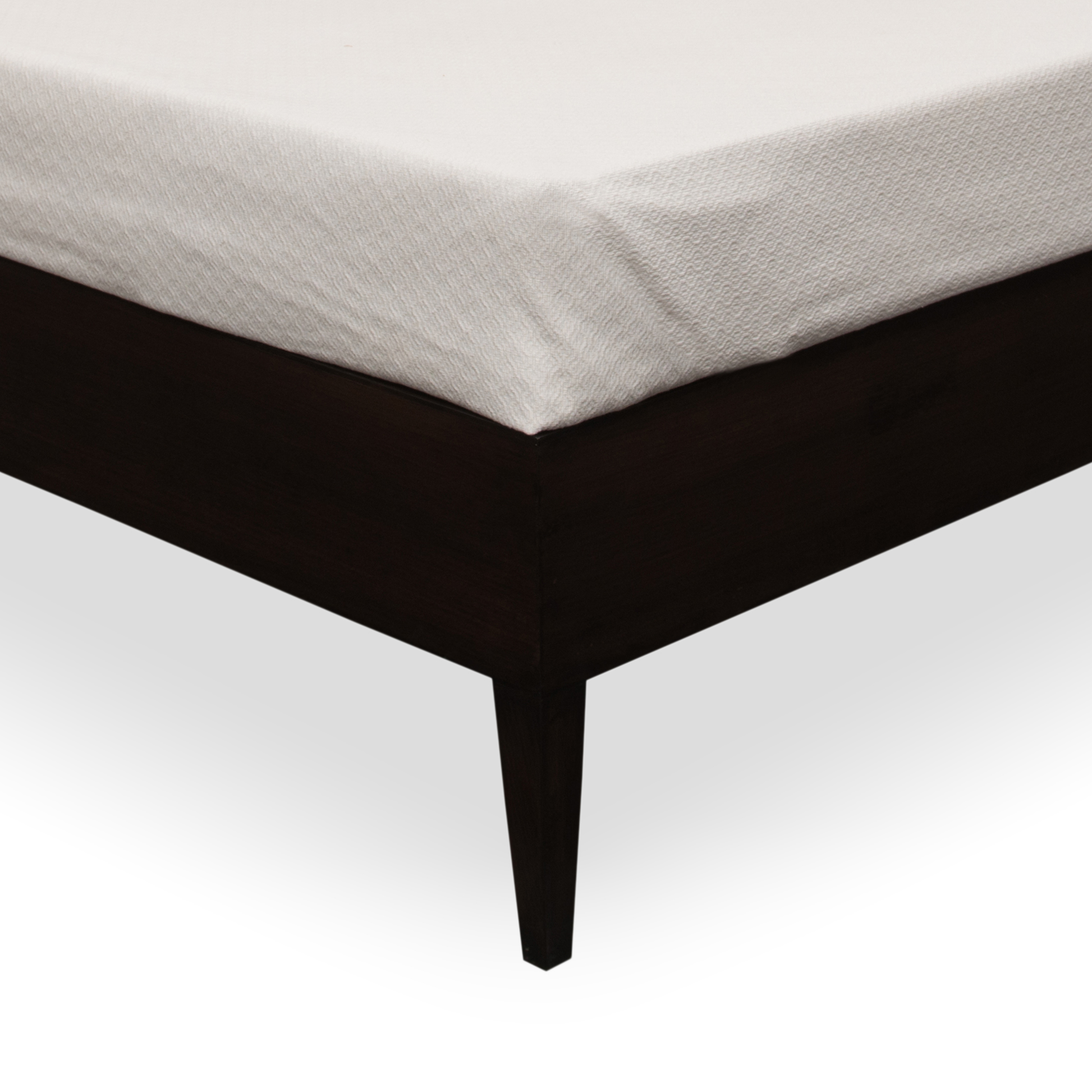 Walnut Studio Earth