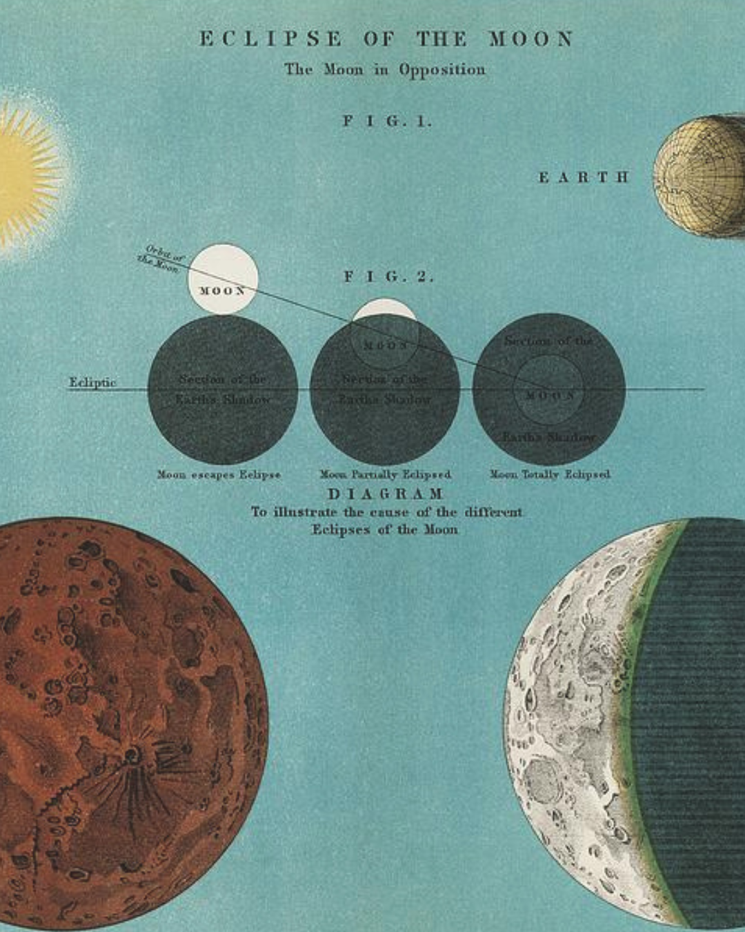 Vintage-style diagram of a lunar eclipse with labeled phases on a blue background. Inspiration for the Cosmos Table
