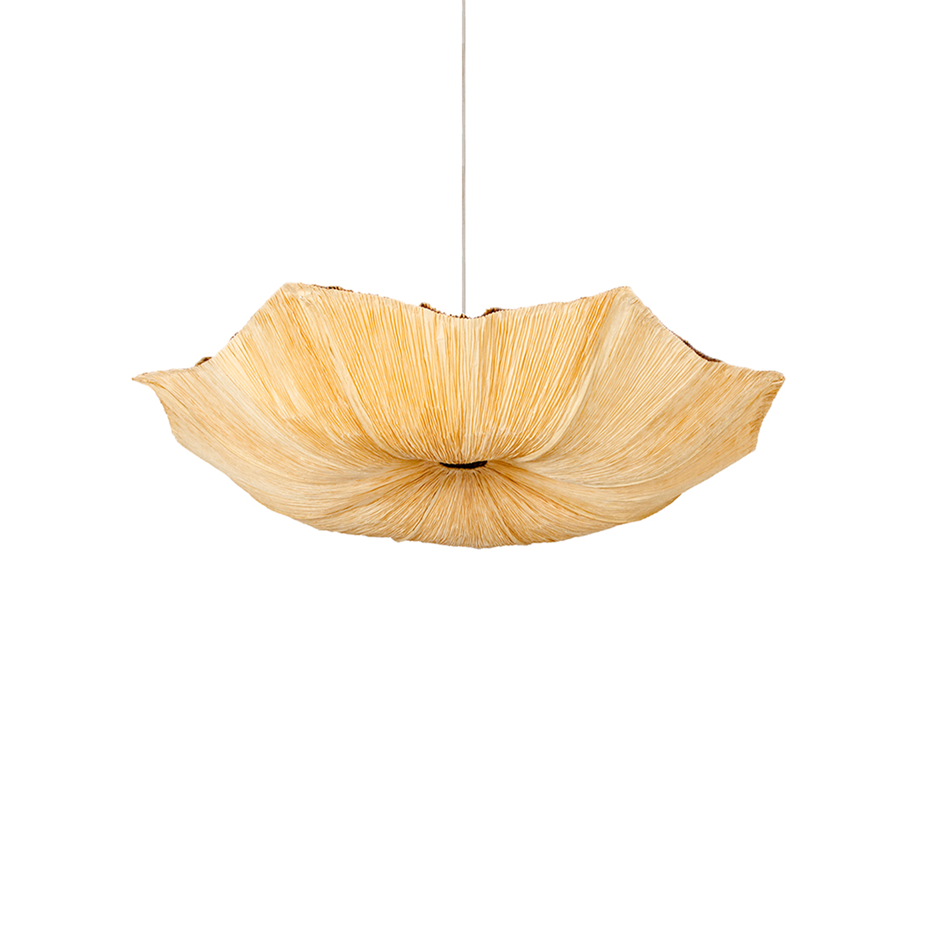 Banana Fibre Paper